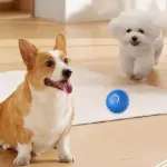 Smart Rolling Ball: Interactive Fun for Your Dog