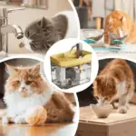 Silent Stream Pet Water Fountain - Hydration Made Easy and Enjoyable - Image 11