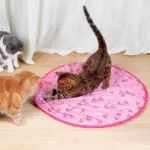 Interactive Smart Cat Ball - Keeping Your Cat Entertained for Hours - Image 2