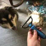 The Ultimate Dog Hair Solution: All-in-One Grooming Rake - Image 3