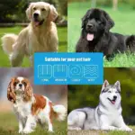 All-in-One Pro Pet Grooming Brush - Image 4