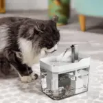 Silent Stream Pet Water Fountain - Hydration Made Easy and Enjoyable - Image 5