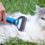 All-in-One Pro Pet Grooming Brush - Image 5