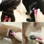 All-in-One Pro Pet Grooming Brush - Image 6