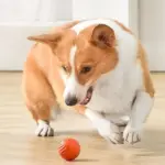 Smart Rolling Ball: Interactive Fun for Your Dog - Image 6