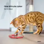Why Your Cat Needs the Smart Sensing Snake Toy! - Image 9