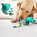 Indestructible Dinosaur Egg Dog Chew Toy