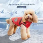 3-in-1 Ultimate Winter Dog Jacket – Warm, Waterproof & Built-In Harness