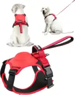 Ease Walk Dog Harness & Retractable Leash - Image 12