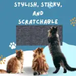 DIY Cat Scratching Mat