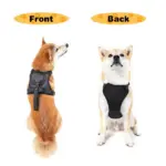 Ease Walk Dog Harness & Retractable Leash - Image 8