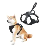 Ease Walk Dog Harness & Retractable Leash - Image 15