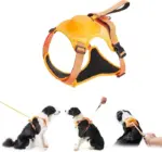 Ease Walk Dog Harness & Retractable Leash - Image 14