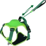 Ease Walk Dog Harness & Retractable Leash - Image 13