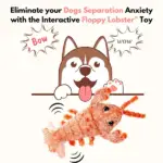 Interactive Flopping Lobster Toy - Image 6