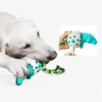 Indestructible Dinosaur Egg Dog Chew Toy - Image 3