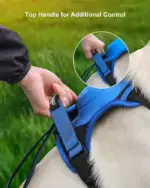 Ease Walk Dog Harness & Retractable Leash - Image 9