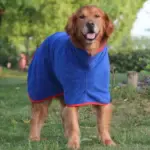 Ultra-Absorbent Pet Bathrobe - Image 3