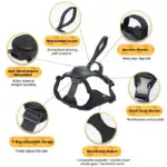 Ease Walk Dog Harness & Retractable Leash - Image 2