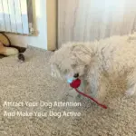 Smart Interactive Pet Toy Ball - Image 4