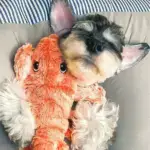 Interactive Flopping Lobster Toy - Image 3