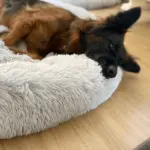 Cloud 7 Dog Bed – Ultimate Comfort & Orthopedic Support for Your Dog - Image 2
