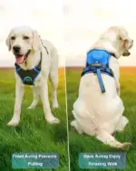 Ease Walk Dog Harness & Retractable Leash - Image 3
