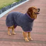 Ultra-Absorbent Pet Bathrobe - Image 4
