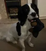 Unbreaka-Bear – The Indestructible Chew Toy for Tough Chewers - Image 3