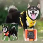 Ultimate No-Pull Dog Harness - Image 3
