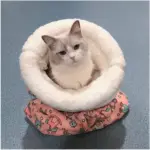Ultra-Cozy Cat Sleeping Bag