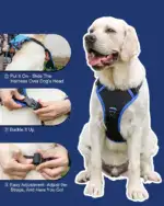 Ease Walk Dog Harness & Retractable Leash - Image 6