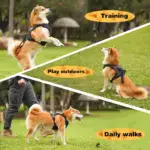 Ease Walk Dog Harness & Retractable Leash - Image 7