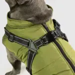 3-in-1 Ultimate Winter Dog Jacket – Warm, Waterproof & Built-In Harness - Image 3