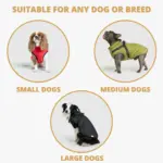 3-in-1 Ultimate Winter Dog Jacket – Warm, Waterproof & Built-In Harness - Image 11
