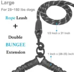 Heavy Duty Dog Leash with Shock Absorbing Bungee - Image 3