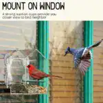 Window Bird Feeder for Outside - Image 2