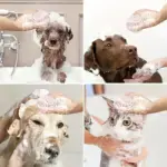 Foaming Pet Bath Brush - Image 5