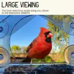 Window Bird Feeder for Outside - Image 6