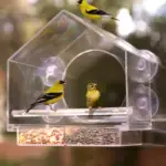 Window Bird Feeder for Outside - Image 5