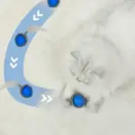 Snappy Tail Interactive Motion Cat Toy - Image 4