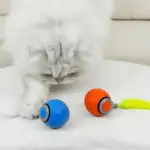 Snappy Tail Interactive Motion Cat Toy - Image 2